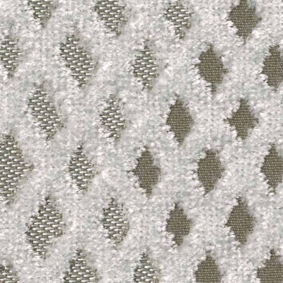 STRING 2021-2024 image 1