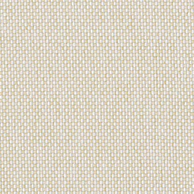 String 2021-2024 image 1