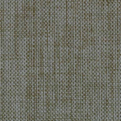 String 2021-2024 image 1