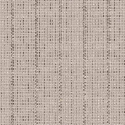 STRING 2021-2024 image 1