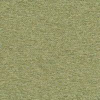 STRING 2021-2024 image 4